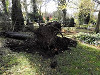 Bild: Aufr&auml;umarbeiten auf dem Hauptfriedhof