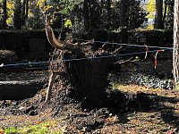 Bild: Aufr&auml;umarbeiten auf dem Hauptfriedhof
