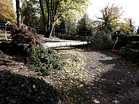 Bild: Aufr&auml;umarbeiten auf dem Hauptfriedhof