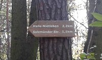 Bild: 100 km mit Sturm Herwart