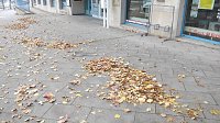 Bild: Laubreich  sah es vor dem Objekt Carpe Diem dieser Tage aus.