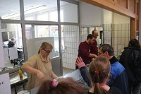 Bild: Tag der offenen T&uuml;r in der Werkstatt der Lebenshilfe