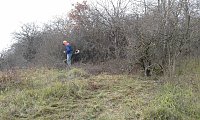 Bild: Gem&auml;ht und entbuscht