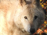 Bild: Peter Blei im B&auml;renpark Worbis
