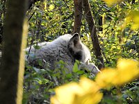 Bild: Peter Blei im B&auml;renpark Worbis
