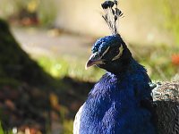 Bild: Peter Blei im B&auml;renpark Worbis