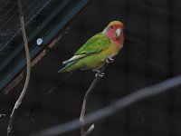 Bild: Peter Blei im B&auml;renpark Worbis