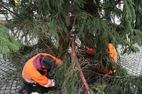 Bild: Weihnachtsbaum vor dem Nordh&auml;user Rathaus