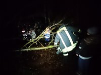 Bild: Nachtwanderung der Jugendfeuerwehren