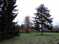 Bild: Abstecher in den W&ouml;rlitzer Park