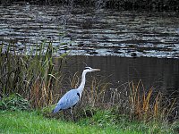 Bild: Abstecher in den W&ouml;rlitzer Park