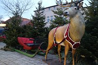 Bild: Weihnachtsmarkt und Eislaufbahn er&ouml;ffnet