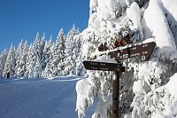 Bild: Wandern und Fotografieren