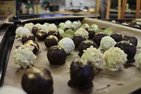 Bild: Backen, Basteln, B&auml;ume schm&uuml;cken - an der Jugendkunstschule und im Weltladen konnte man das heute selbst machen