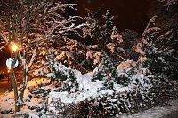 Bild: Erster Advent in Nordhausen