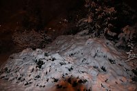 Bild: Erster Advent in Nordhausen