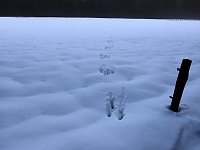 Bild: Der Harz taut...