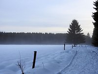 Bild: Der Harz taut...