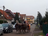 Bild: Besuch im Urbacher Spatzenh&auml;uschen
