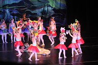 Das Tanzstudio Radeva feiert in diesem Jahr 23. Bestehen Bild: Das Tanzstudio Radeva feiert in diesem Jahr 23. Bestehen