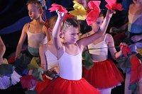 Das Tanzstudio Radeva feiert in diesem Jahr 23. Bestehen Bild: Das Tanzstudio Radeva feiert in diesem Jahr 23. Bestehen