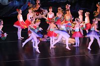 Das Tanzstudio Radeva feiert in diesem Jahr 23. Bestehen Bild: Das Tanzstudio Radeva feiert in diesem Jahr 23. Bestehen