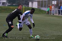 Bild: 4:0 gegen Bayreuth