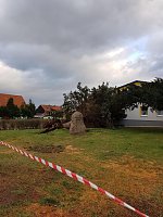 Viele Einsätze in der Goldenen Aue Bild: Viele Einsätze in der Goldenen Aue