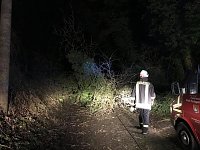 Viele Einsätze in der Goldenen Aue Bild: Viele Einsätze in der Goldenen Aue