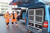 Rettungshundestaffel im Einsatz am Südharz-Klinikum Bild: Rettungshundestaffel im Einsatz am Südharz-Klinikum