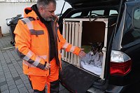 Rettungshundestaffel im Einsatz am Südharz-Klinikum Bild: Rettungshundestaffel im Einsatz am Südharz-Klinikum
