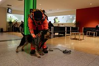 Rettungshundestaffel im Einsatz am Südharz-Klinikum Bild: Rettungshundestaffel im Einsatz am Südharz-Klinikum