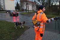 Rettungshundestaffel im Einsatz am Südharz-Klinikum Bild: Rettungshundestaffel im Einsatz am Südharz-Klinikum