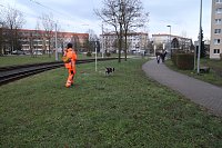 Rettungshundestaffel im Einsatz am Südharz-Klinikum Bild: Rettungshundestaffel im Einsatz am Südharz-Klinikum