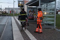 Rettungshundestaffel im Einsatz am Südharz-Klinikum Bild: Rettungshundestaffel im Einsatz am Südharz-Klinikum