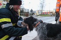 Rettungshundestaffel im Einsatz am Südharz-Klinikum Bild: Rettungshundestaffel im Einsatz am Südharz-Klinikum