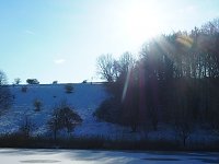 Bild: Winter am Hirschenteich