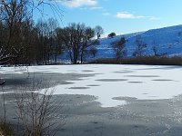 Bild: Winter am Hirschenteich