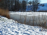 Bild: Winter am Hirschenteich