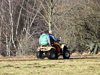 Bild: Schlittenhunde rennen rund um Benneckenstein