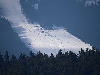 Bild: Schlittenhunde rennen rund um Benneckenstein