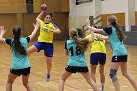 Bild: Vom weiblichen Handballnachwuchs des Nordh&auml;user SV