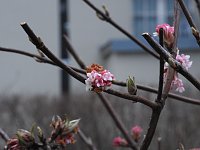 Bild: Interessanter Rundgang im Stadtpark