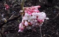 Bild: Interessanter Rundgang im Stadtpark