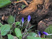 Bild: Interessanter Rundgang im Stadtpark