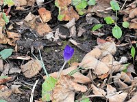 Bild: Interessanter Rundgang im Stadtpark