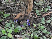 Bild: Interessanter Rundgang im Stadtpark
