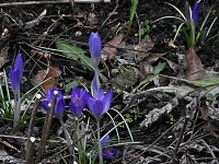 Bild: Interessanter Rundgang im Stadtpark