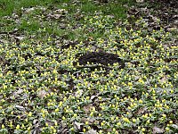 Bild: Interessanter Rundgang im Stadtpark