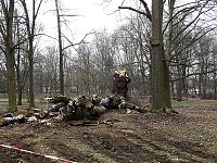 Bild: Interessanter Rundgang im Stadtpark